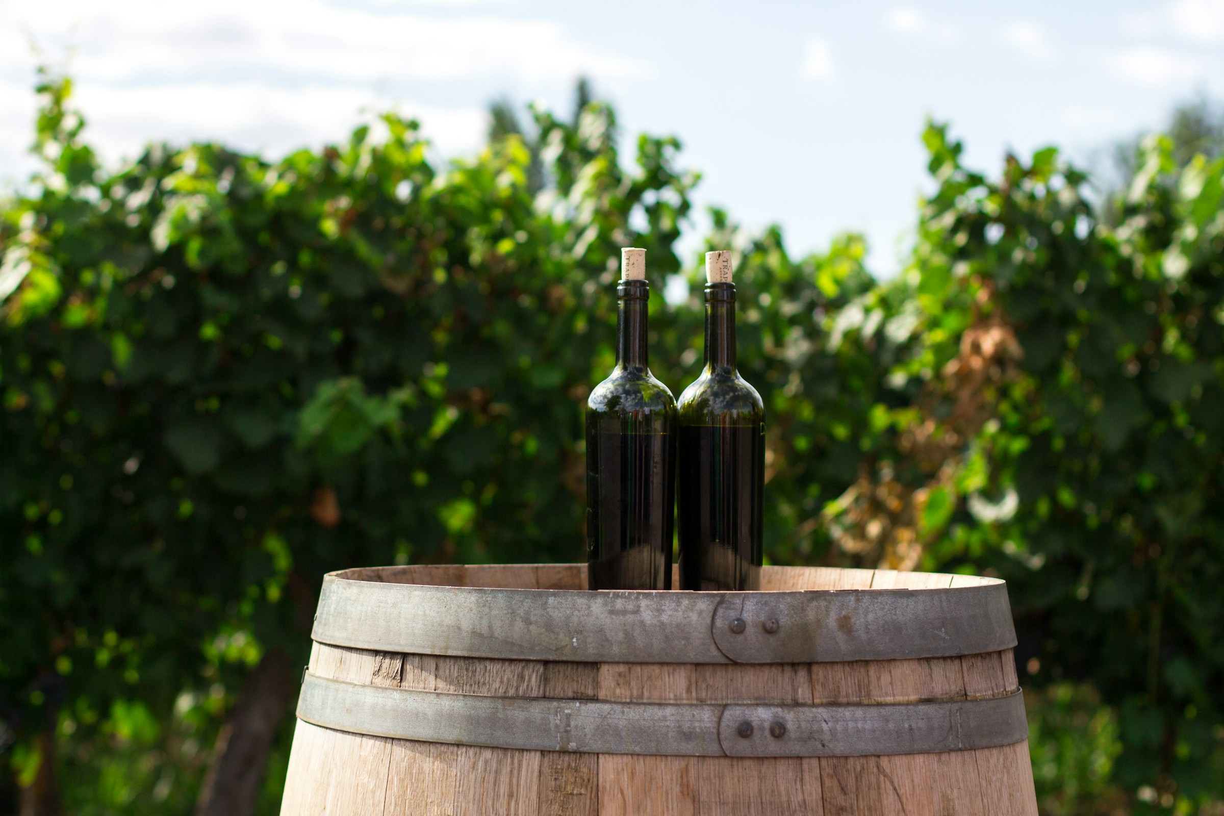Photo of two wine bottles on a wine barrel, by Rodrigo Abreu from Unsplash